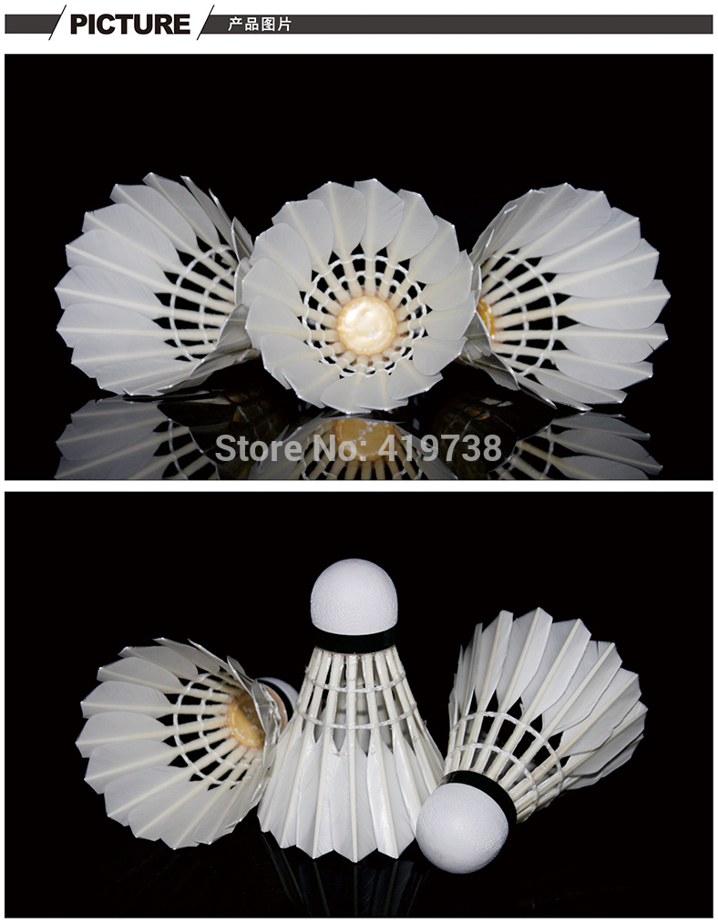 100original-WECAN-shuttlecock-Gold-wecan-class-A-duck-feather-shuttlecock--badminton-for-competition-32295668678