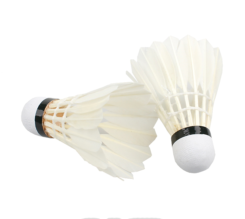 12x-Professional-Durable-Regail-A-Class-King-Badminton-Shuttlecock-For-Training-Match-32251945602
