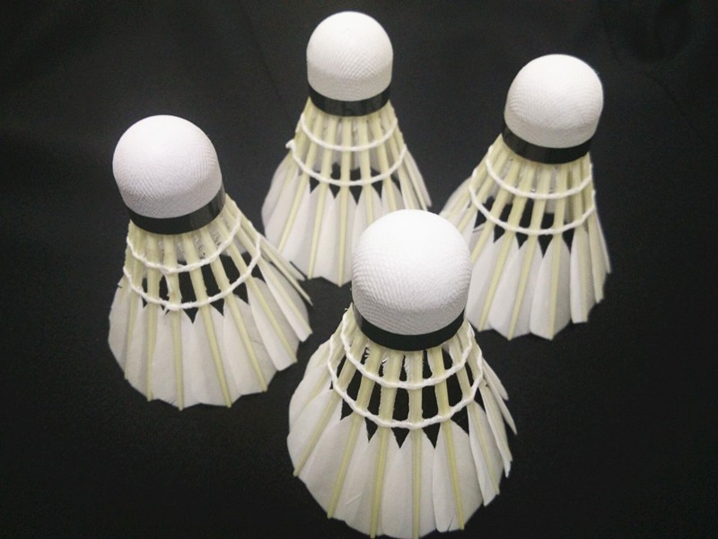 Flybomb-1-tubes12-pcs-Good-Quality-Badminton-Shuttlecocks-Real-Goose-Feather-Birdies-Badminton-Ball--32725850068