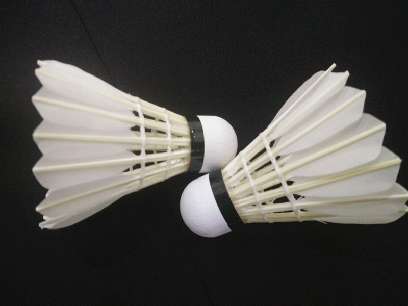 Flybomb-1-tubes12-pcs-Good-Quality-Badminton-Shuttlecocks-Real-Goose-Feather-Birdies-Badminton-Ball--32725850068