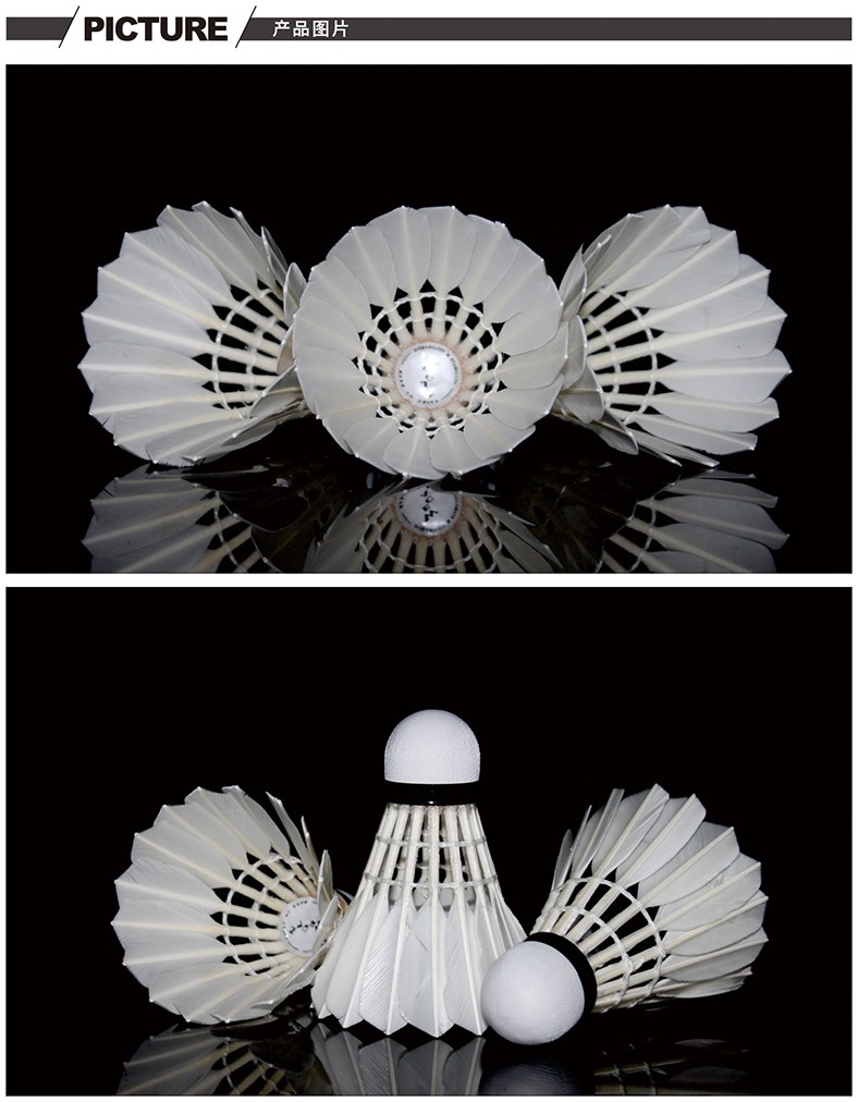 Free-shipping-Original-WECAN-badminton-shuttlecock-SEIVER-Feather-Shuttlecock-Best-grade-duck-feathe-32570450092