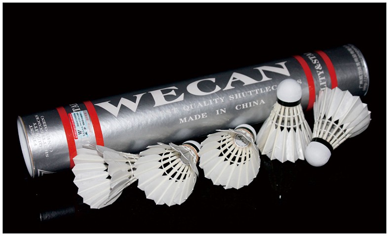 Free-shipping-Original-WECAN-badminton-shuttlecock-SEIVER-Feather-Shuttlecock-Best-grade-duck-feathe-32570450092