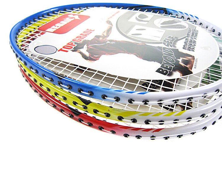 High-Quality-Outdoor-Sports-Professional-Damping-Badminton-Racket-Racquet-with-Carry-Bag-Regail-9300-32684940491