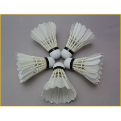 Bingirl 12 Pcs/Lot Professional training volant badminton plume d'oie lenwave shuttlecock goose feather badminton shuttlecocks